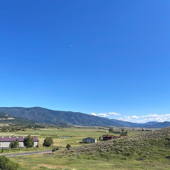 Meet your Posher, Emma - Picture 1 of 1